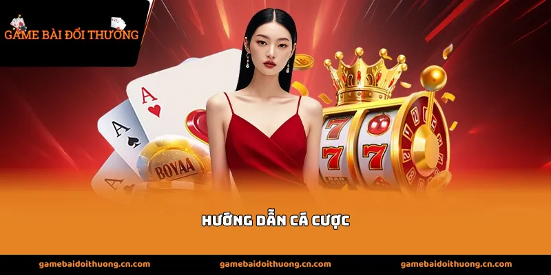 hướng dẫn cá cược